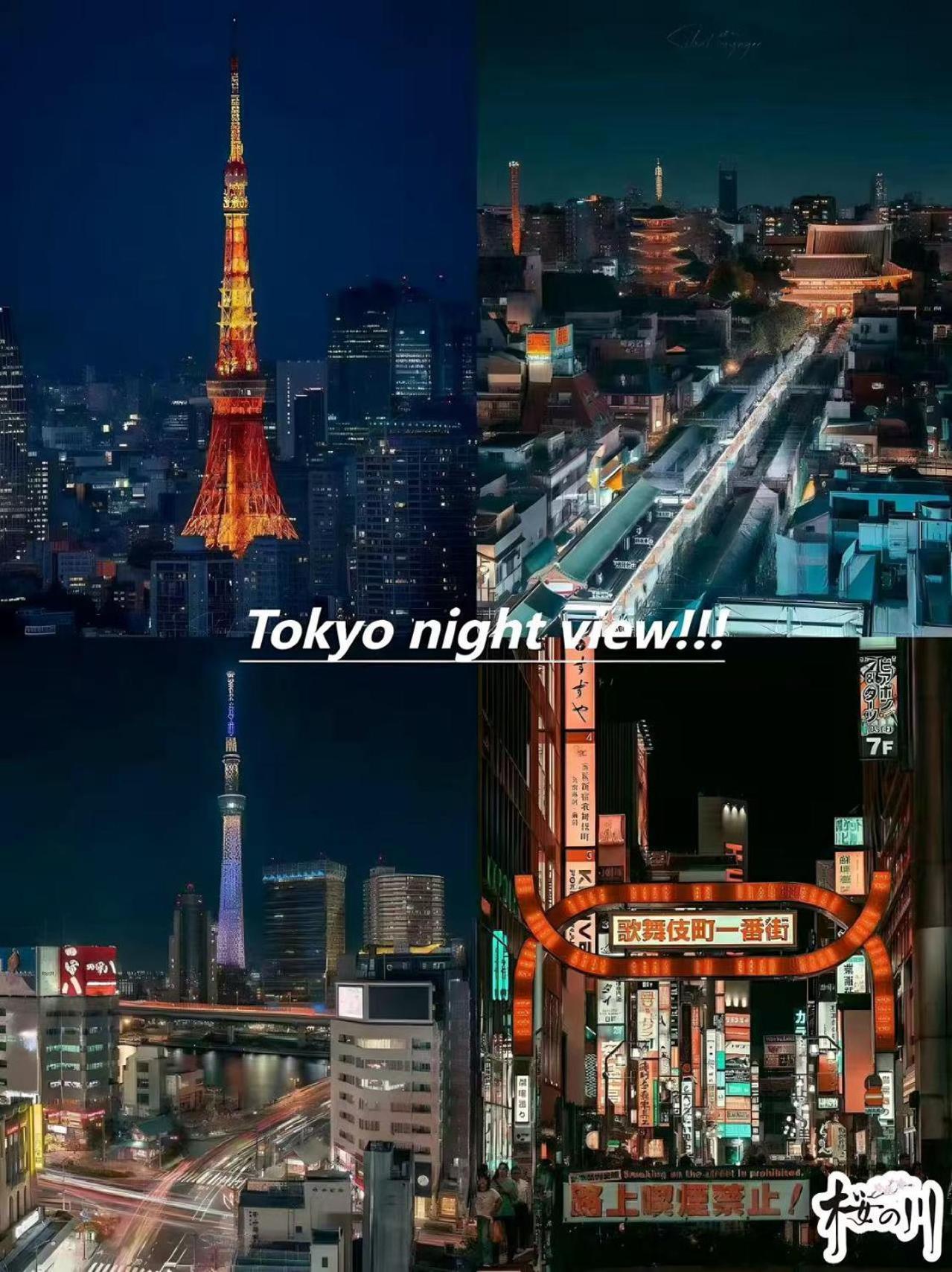 桜の川14/five Minutes' Walk From Sensoji Temple And Kaminarimon Gate,tv,two-storey Apartment